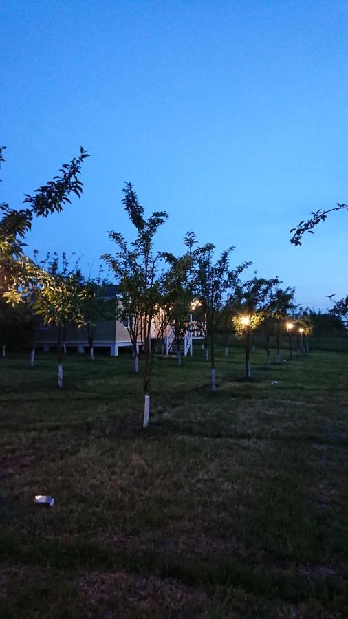Appartamento Our Garden Vendam Esterno foto